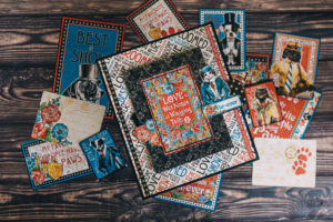 Well Groomed, Cat Card, Graphic 45