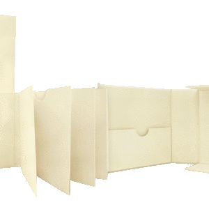 Album in a Box (Ivory)